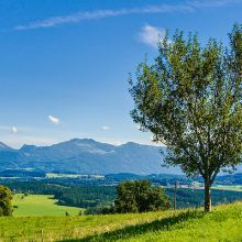 Ratzinger Höhe (bei Rimsting)